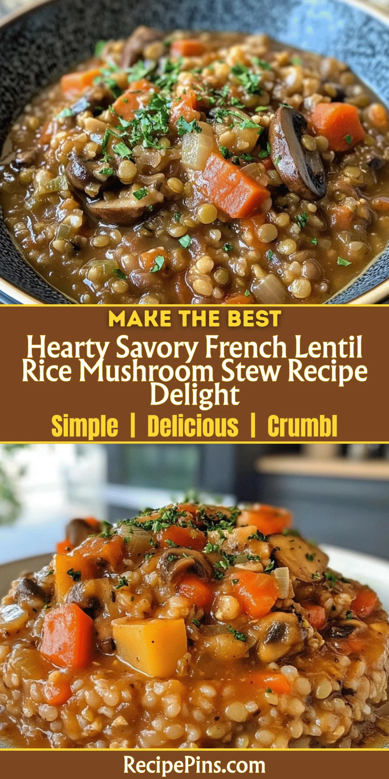 Hearty Savory French Lentil Rice Mushroom Stew Recipe Delight